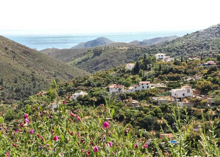 Santa Ana Ojen